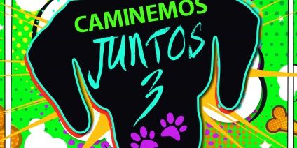 CEZ-CAMJUNTOS_3-AFICHE-JPG-01